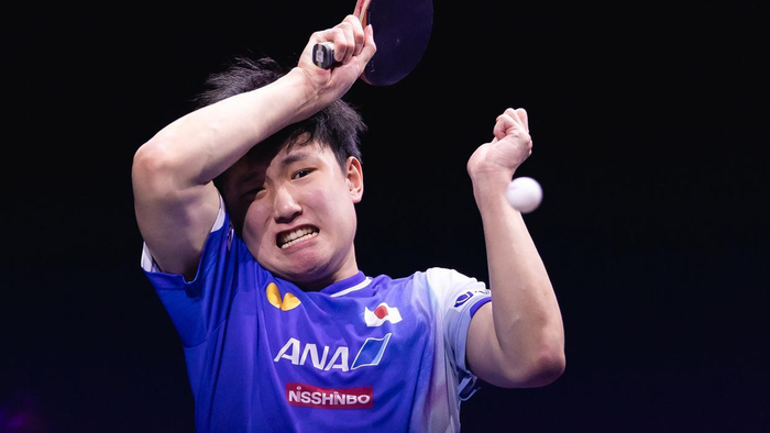 张本智和力克邱党晋级八强 日本男单三将挺进淘